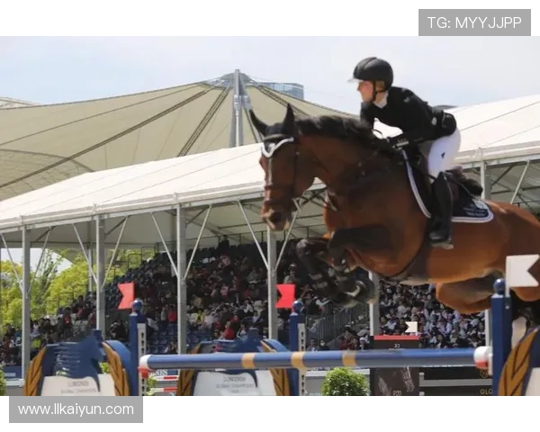 2026年上海马术比赛票价详解及购票指南